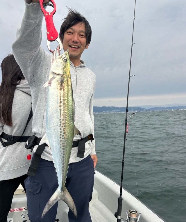 サゴシ(サワラ)