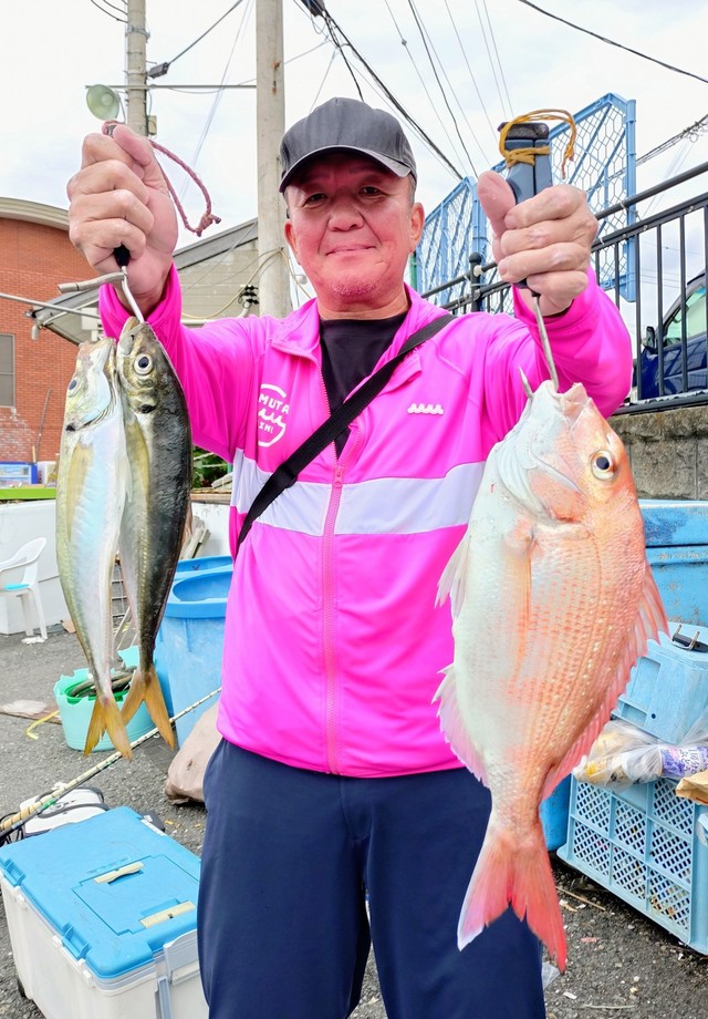 マダイ・アジ(マアジ)