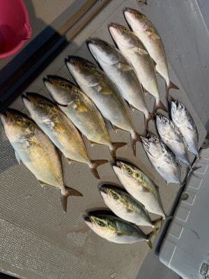 ハマチ(ブリ)・カンパチ・ヤイトカツオ(スマ)