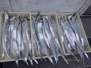 タチウオ