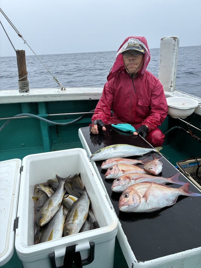 マダイ・ハマチ(ブリ)・メイチダイ