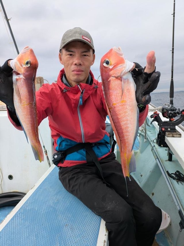 アマダイ(アカアマダイ)