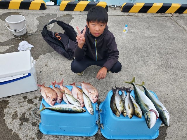 アジ(マアジ)・オアカムロ・イナダ(ブリ)・イサキ