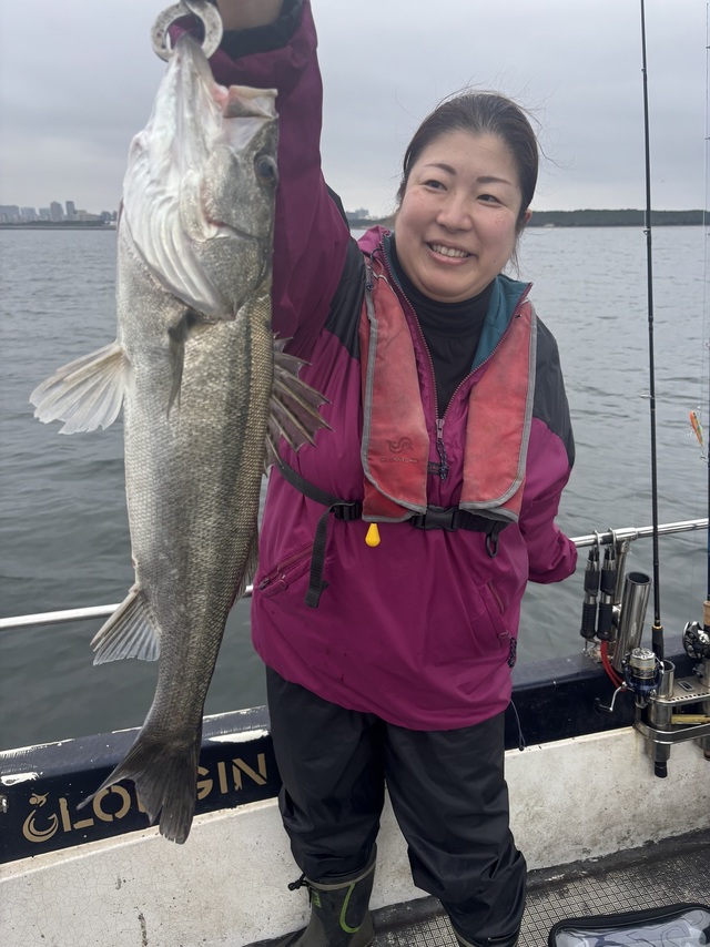 シーバス(スズキ)