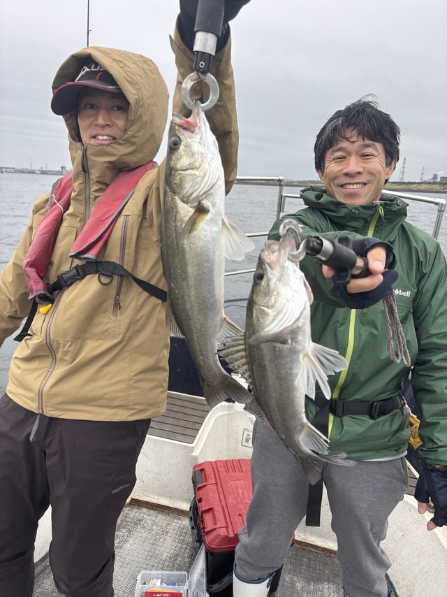 シーバス(スズキ)