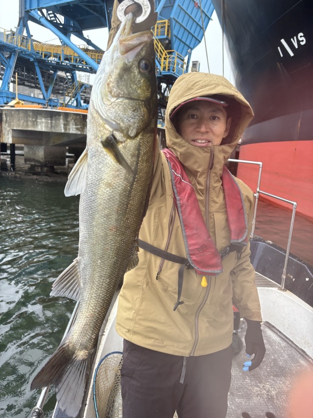 シーバス(スズキ)