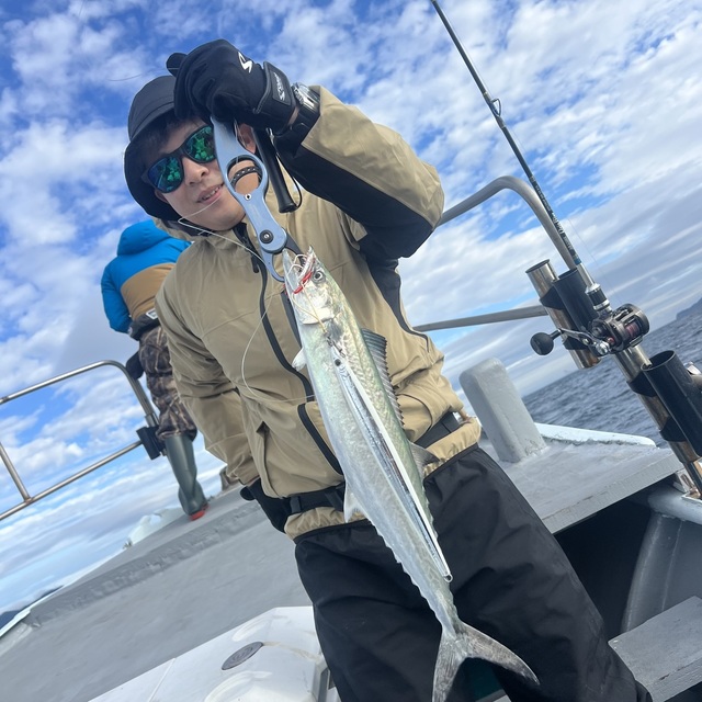 サゴシ(サワラ)