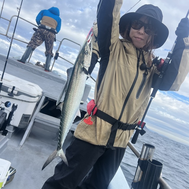 サゴシ(サワラ)