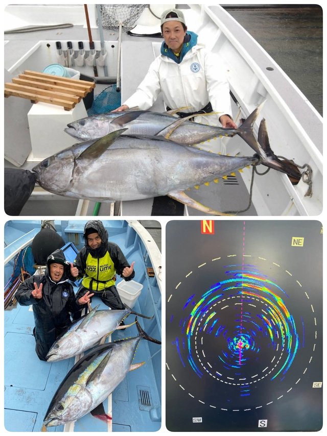 キハダマグロ(キハダ)