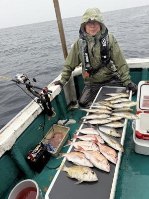 マダイ・メイチダイ・イサキ