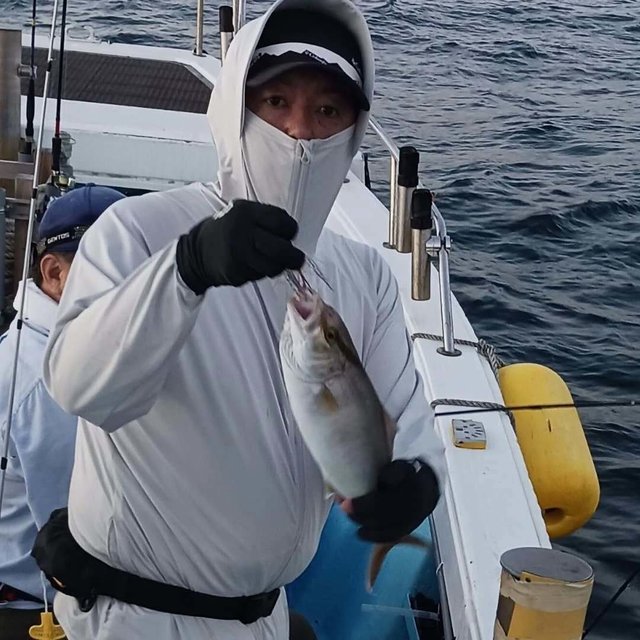 ネリゴ(カンパチ)