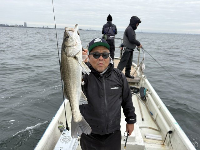 シーバス(スズキ)