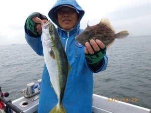 ツバス(ブリ)・カワハギ