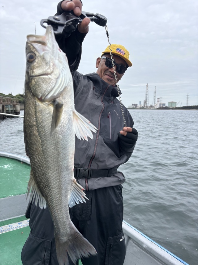 シーバス(スズキ)