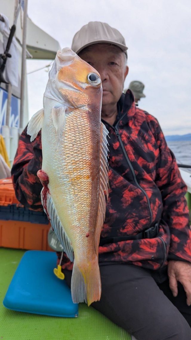 アマダイ(アカアマダイ)