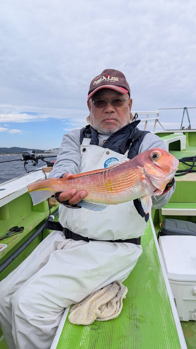 アマダイ(アカアマダイ)