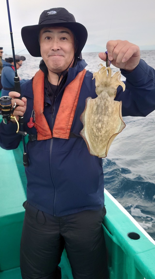 モンゴウイカ(カミナリイカ)