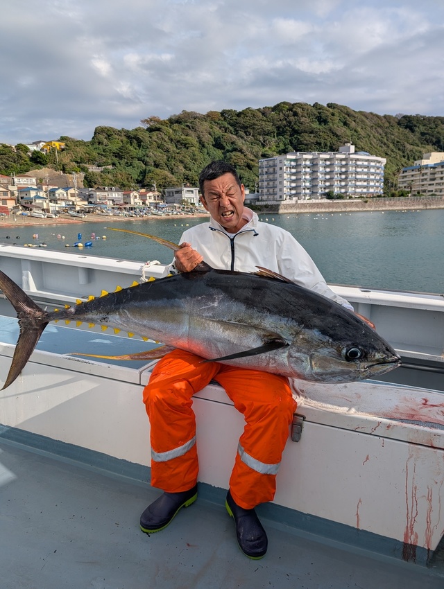 キハダマグロ(キハダ)