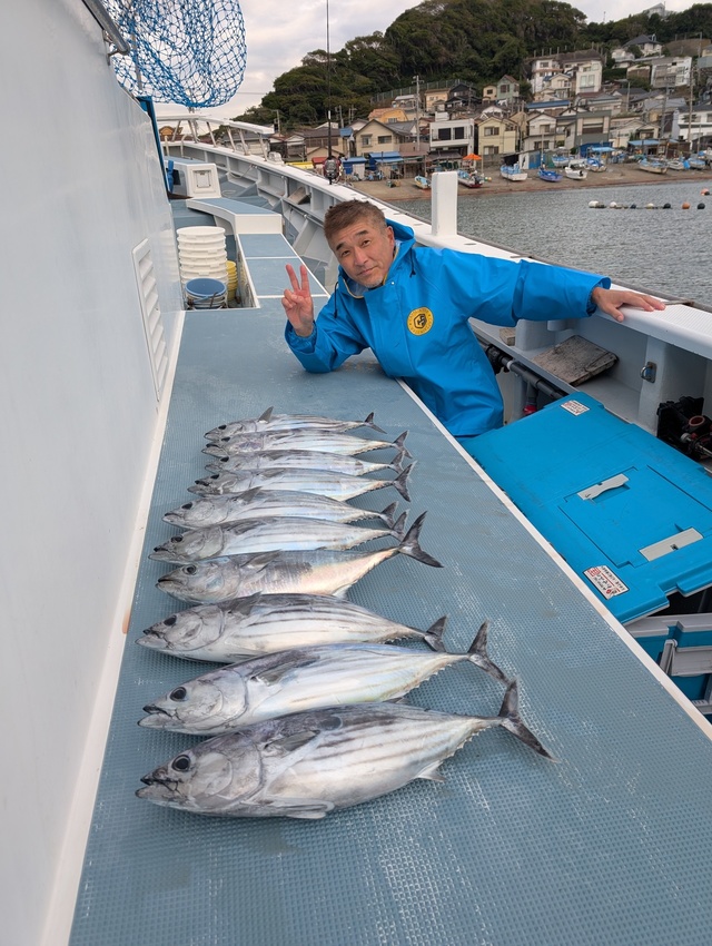 ホンガツオ(カツオ)