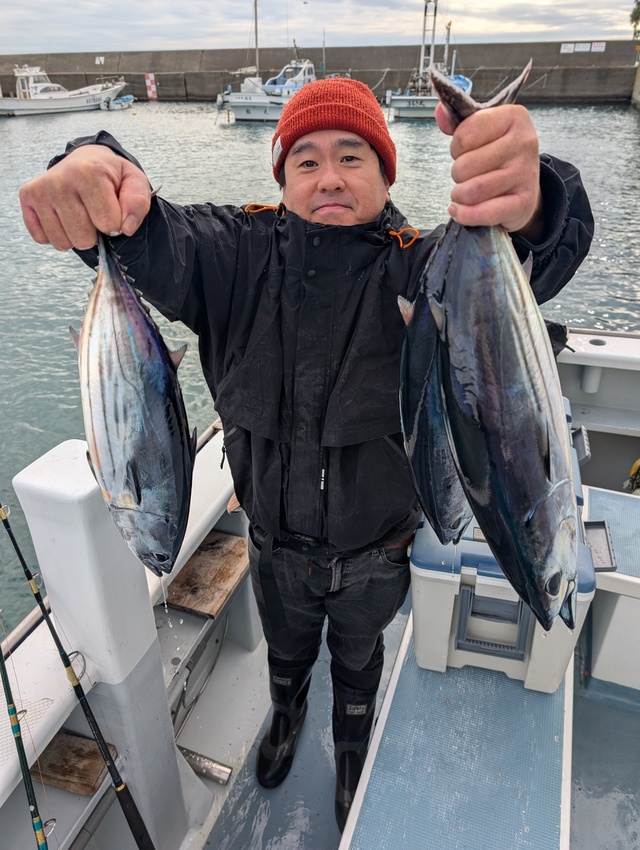 ホンガツオ(カツオ)