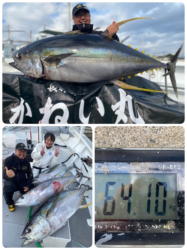 キハダマグロ(キハダ)