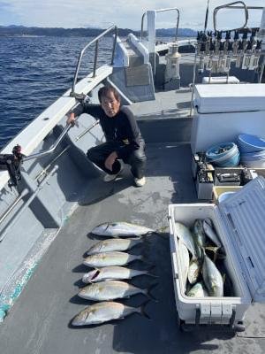 ツバス(ブリ)・ハマチ(ブリ)・メジロ(ブリ)・シオ(カンパチ)