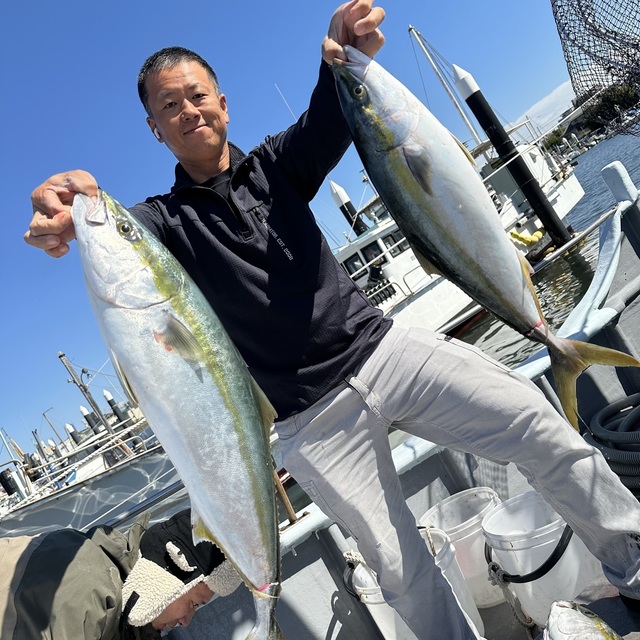 ブリ・メジロ(ブリ)