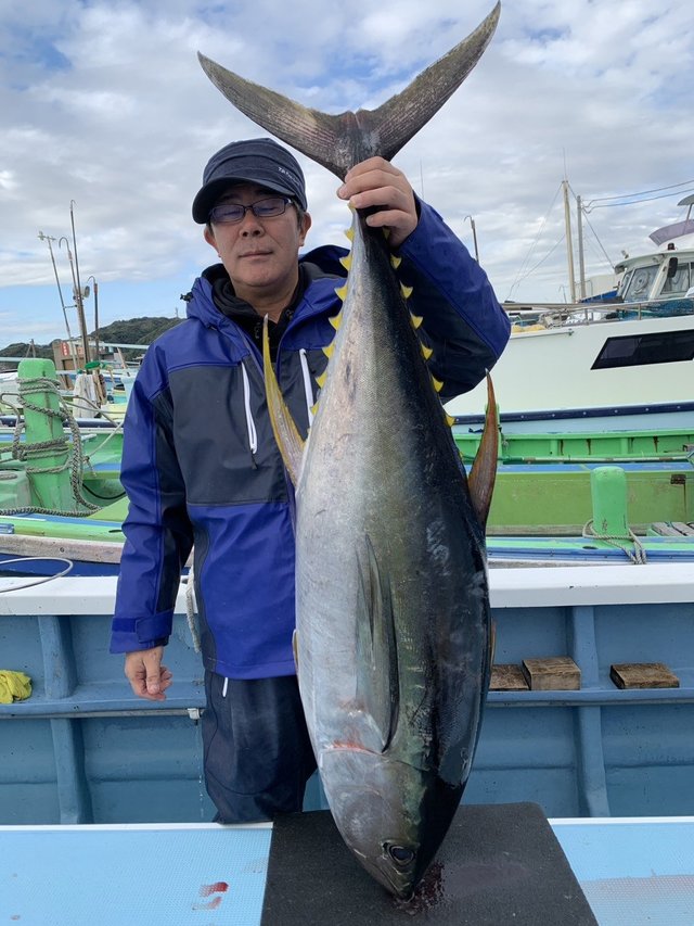 キハダマグロ(キハダ)