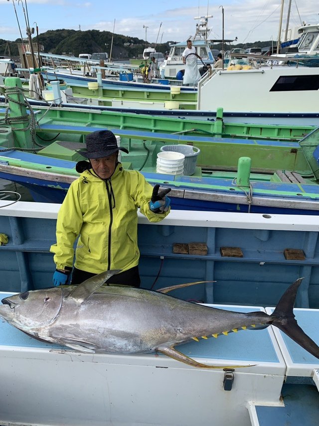 キハダマグロ(キハダ)