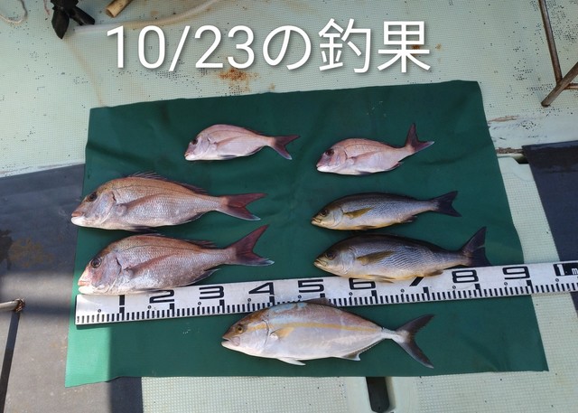 マダイ・カンパチ・イサキ