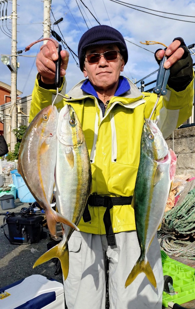 イナダ(ブリ)・カンパチ