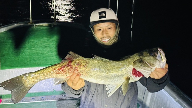 シーバス(スズキ)