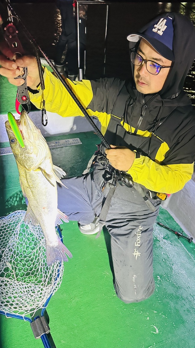 シーバス(スズキ)