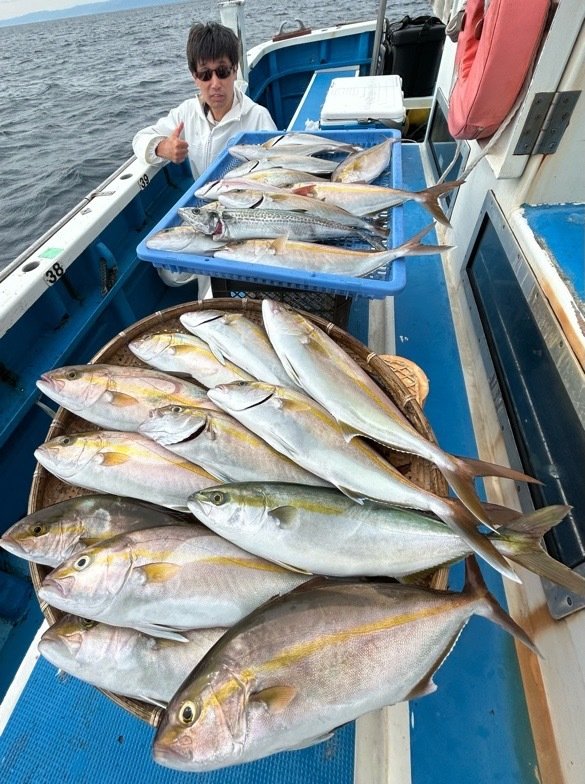 イナダ(ブリ)・カンパチ・サゴシ(サワラ)