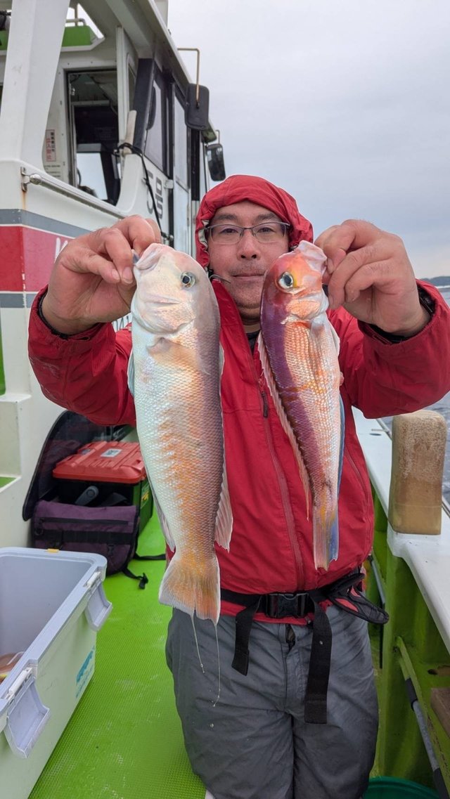 アマダイ(アカアマダイ)