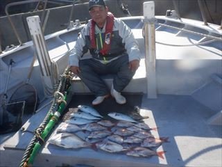 マダイ・イナダ(ブリ)