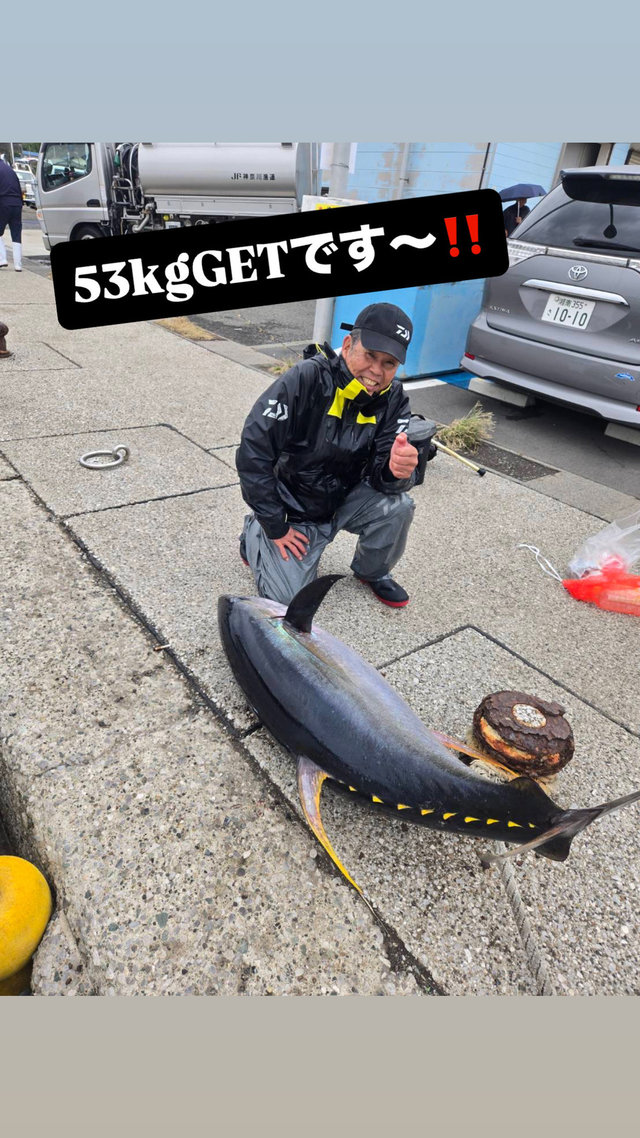 マグロ(キハダ)