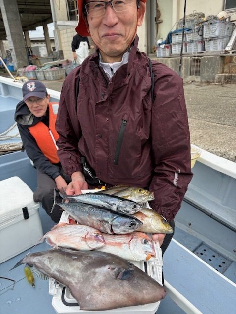 ハナダイ(チダイ)・イサキ・ウマヅラハギ・サバ(ゴマサバ)