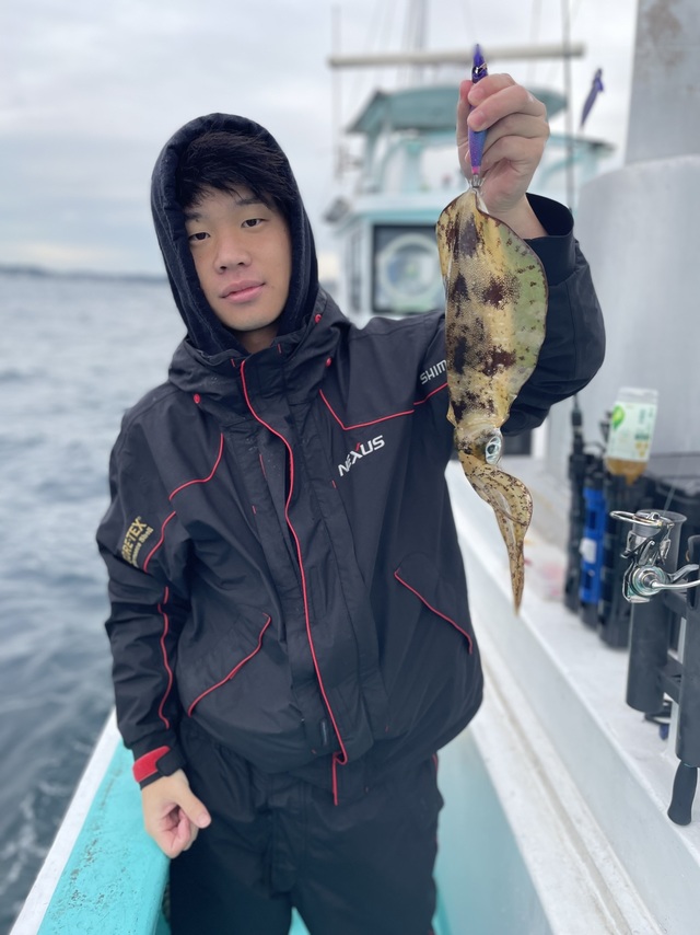 アオリ(アオリイカ)