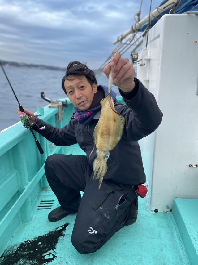 アオリ(アオリイカ)