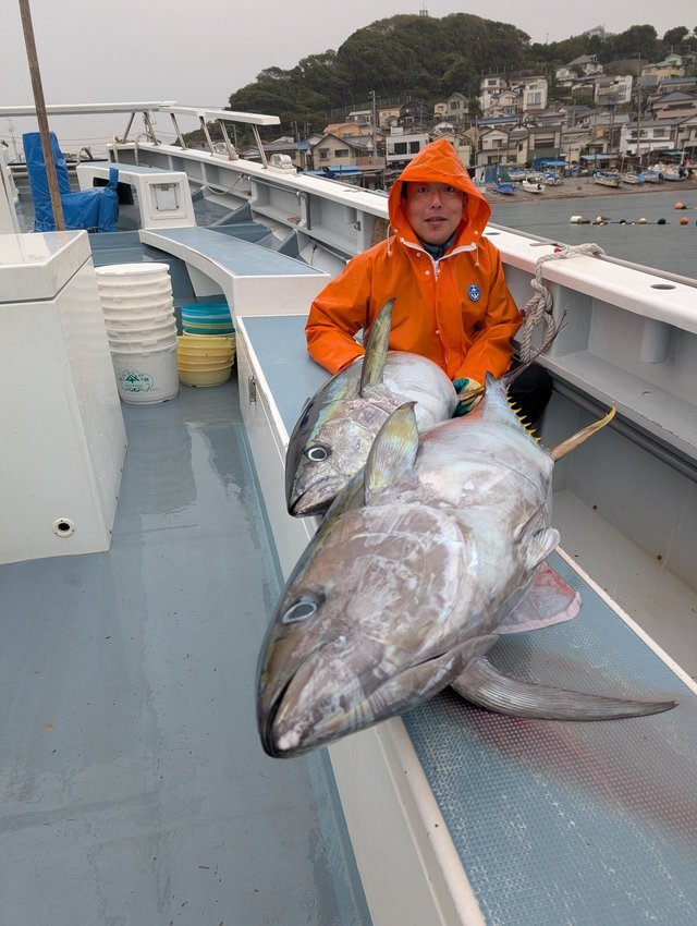 キハダマグロ(キハダ)