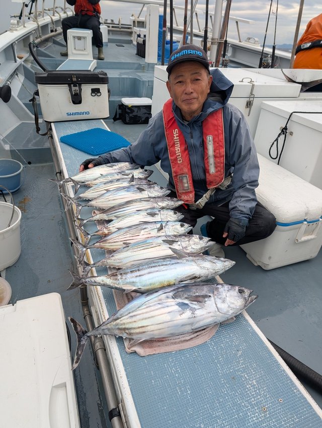 ホンガツオ(カツオ)