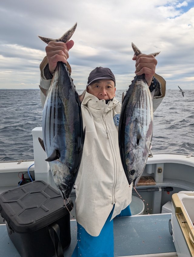 ホンガツオ(カツオ)