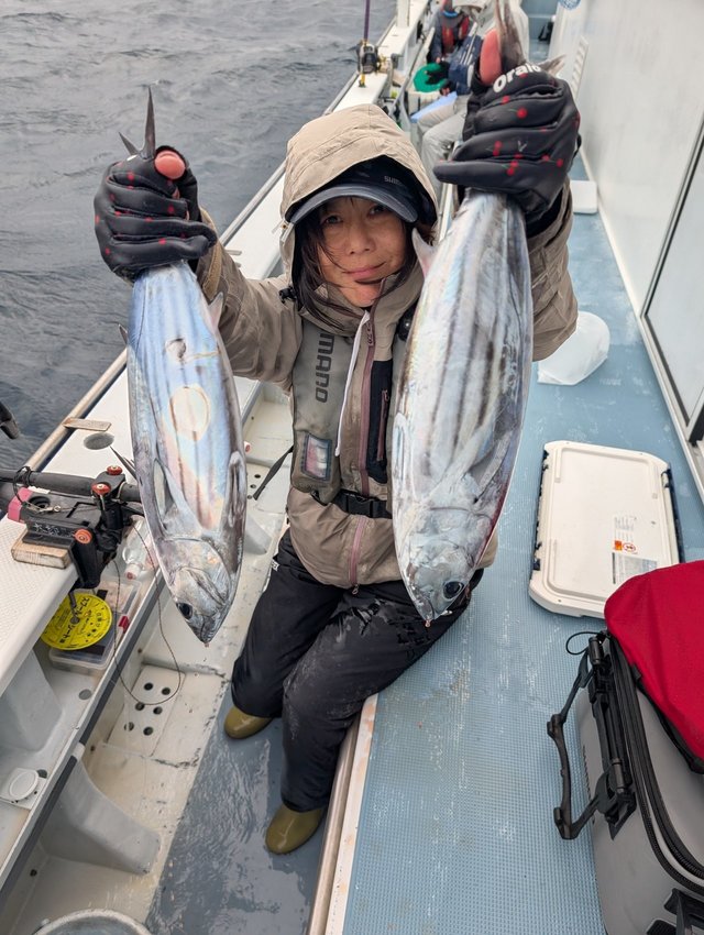 ホンガツオ(カツオ)