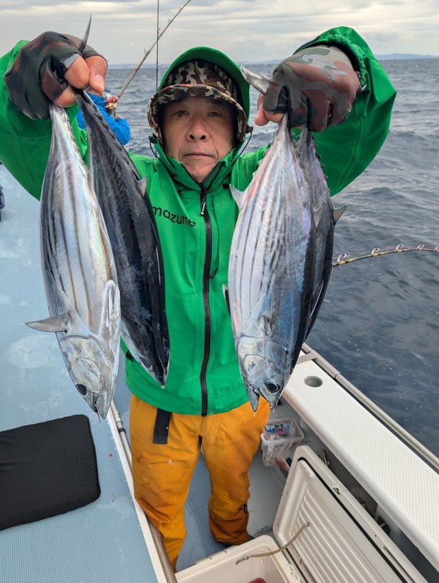 ホンガツオ(カツオ)