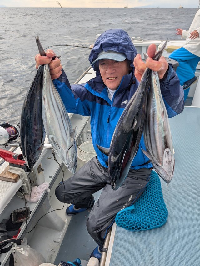 ホンガツオ(カツオ)