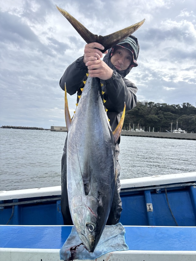 キハダマグロ(キハダ)