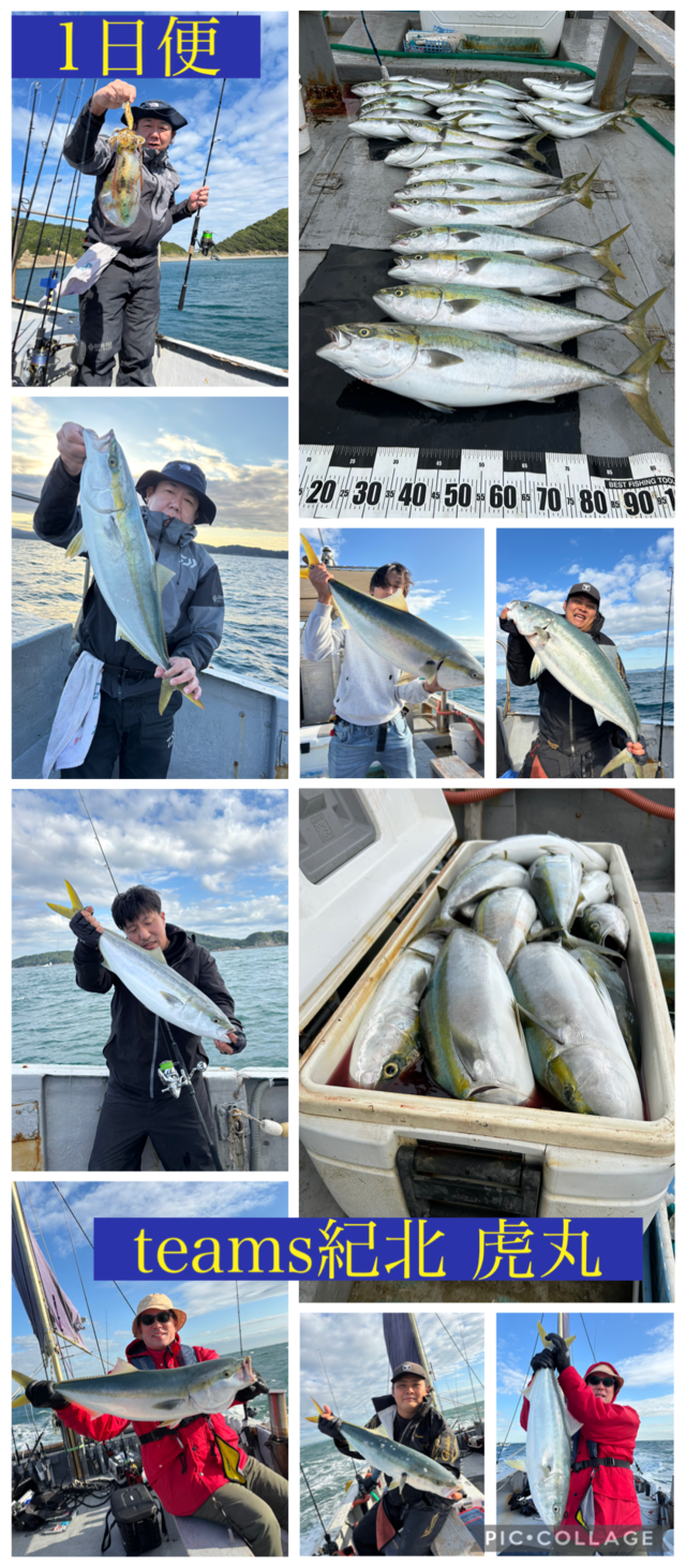 ブリ・メジロ(ブリ)