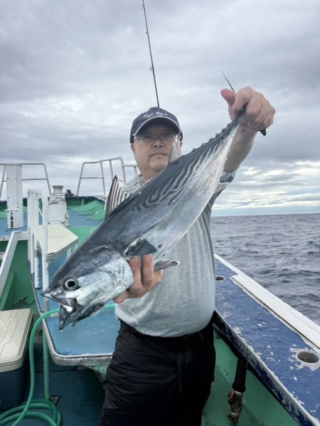 スマガツオ(スマ)