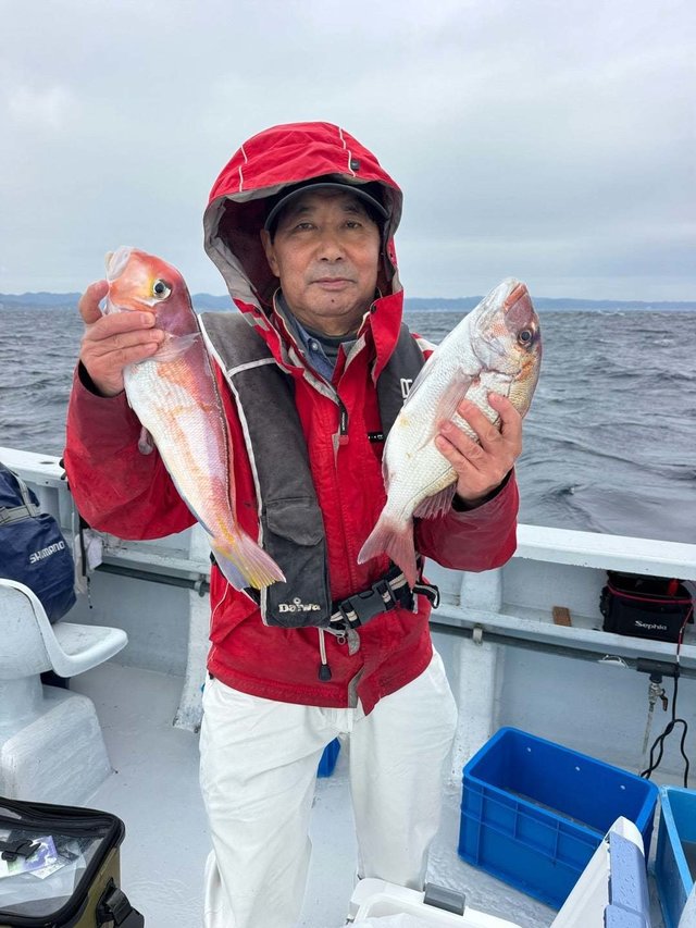 マダイ・アマダイ(アカアマダイ)